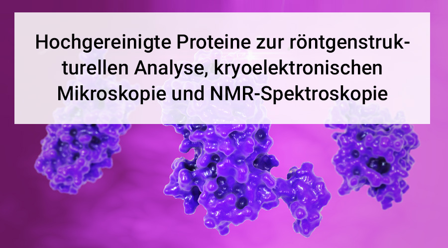 Arvys Proteins