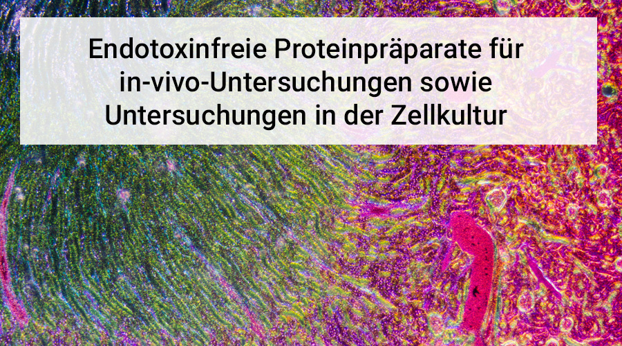 Arvys Proteins