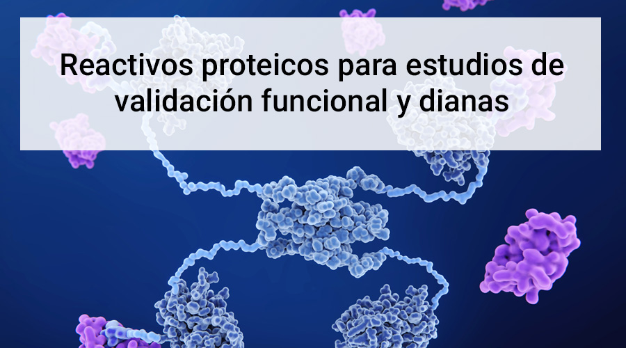 Arvys Proteins