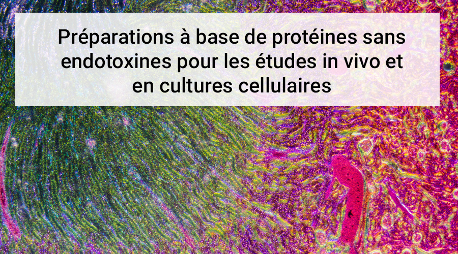 Arvys Proteins
