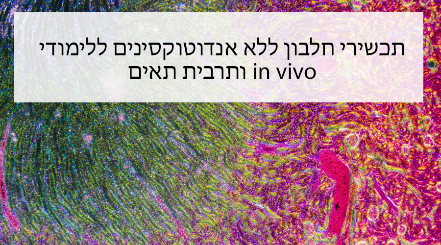 Arvys Proteins