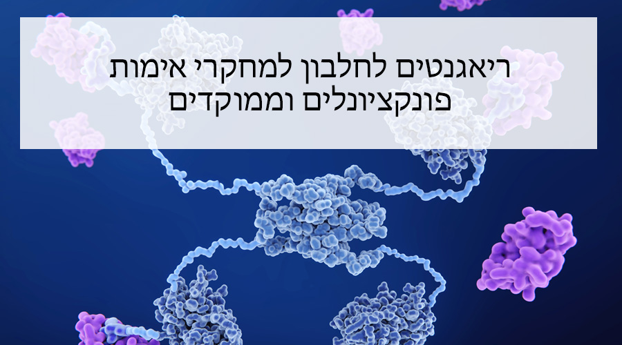 Arvys Proteins