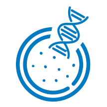 Protein Expression